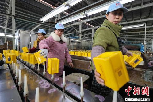 貴州貴定 玻璃制品訂單趕制忙